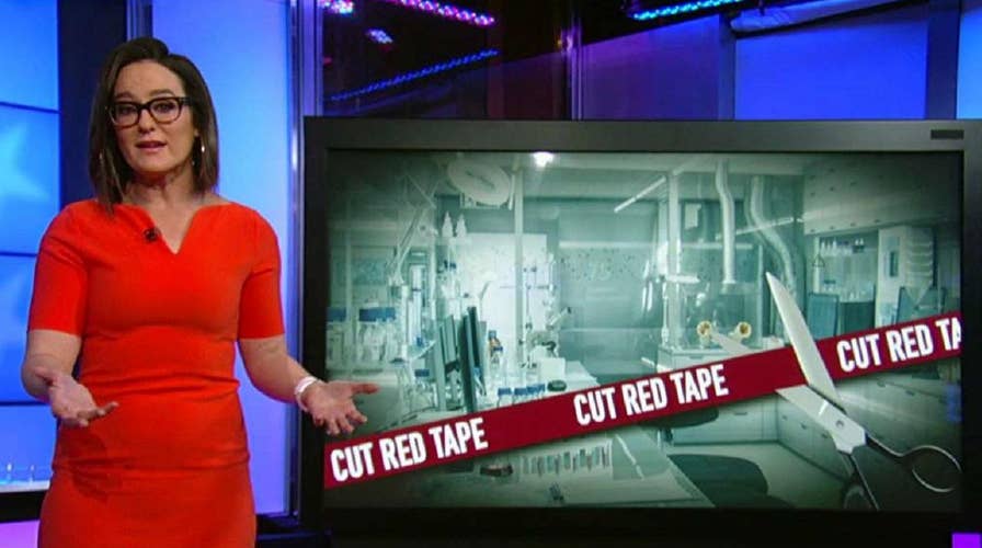 Kennedy: We need to save the country from free health care