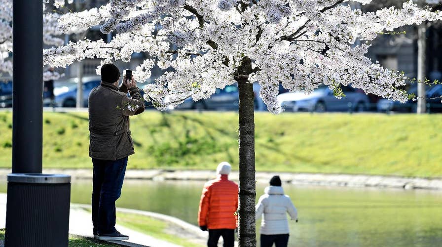 Social distancing will help US economy, people recover quicker: Doctor