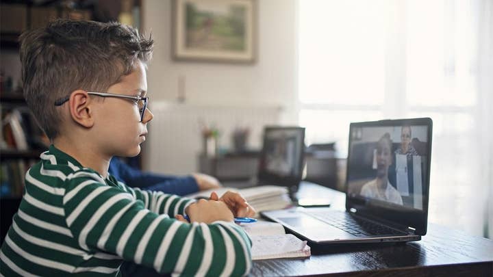 Online schooling will continue after coronavirus: AI software company