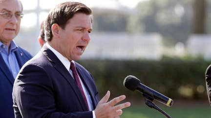 Conservative activist defends Gov. DeSantis' media comments