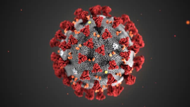 ‘Plenty of room for optimism’ on coronavirus treatment: Mayo Clinic taskforce chair 