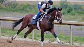Fans can participate in Belmont Stakes from home this year 