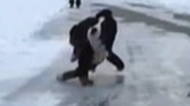 Slow-motion video catches puppy's icy slide