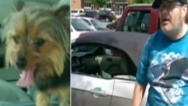 Veteran arrested for trying to save dog