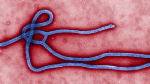 New Ebola vaccine dubbed a 'game changer' by WHO