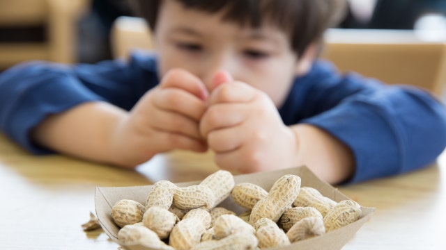 Peanut allergy surprise, best diets, traffic exposure risk