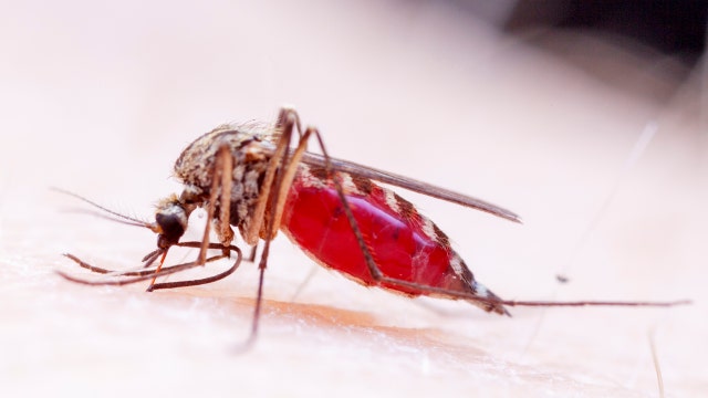 Is Zika still a concern?