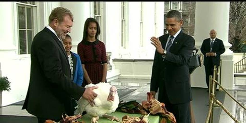 Watch Obama Pardons 2 Turkeys For Thanksgiving Fox News Video 5057