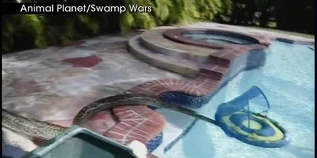 Crazy Video: 13-Foot Burmese Python Found in Family Pool | Fox News Video