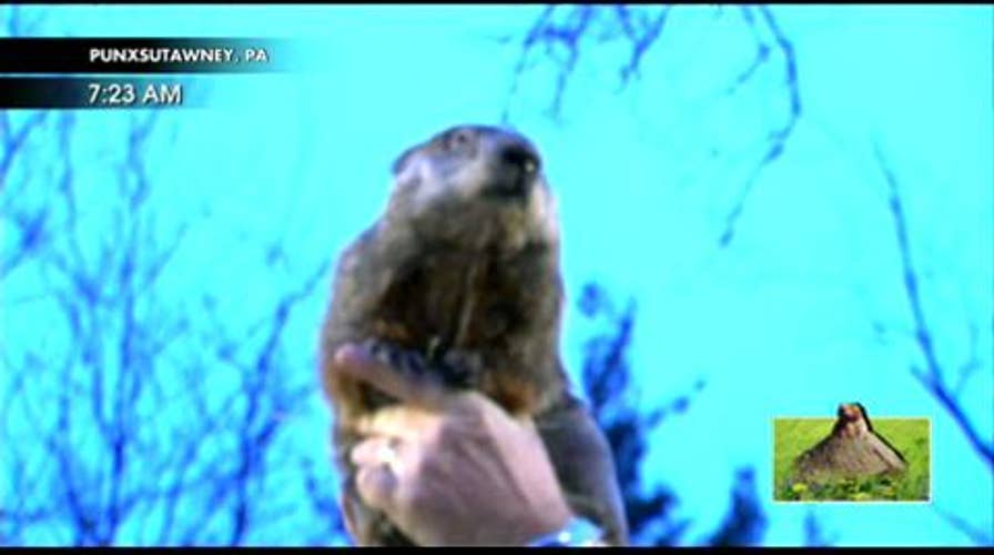 It's Groundhog Day! Did Punxsutawney Phil See His Shadow?