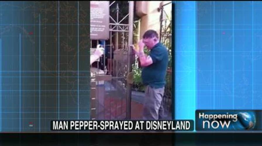 Caught on Tape: Belligerent Man Pepper-Sprayed at Disneyland