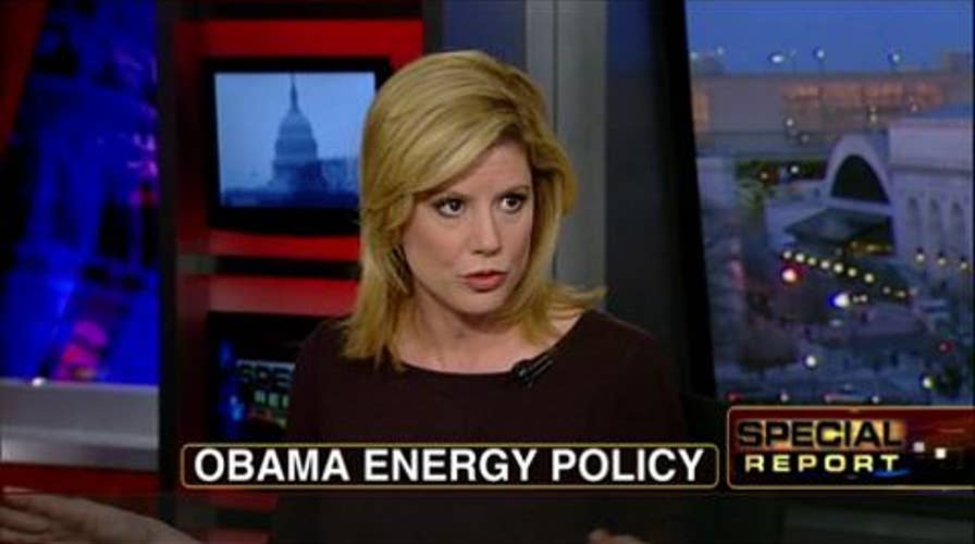 Special Report panel on high gas prices