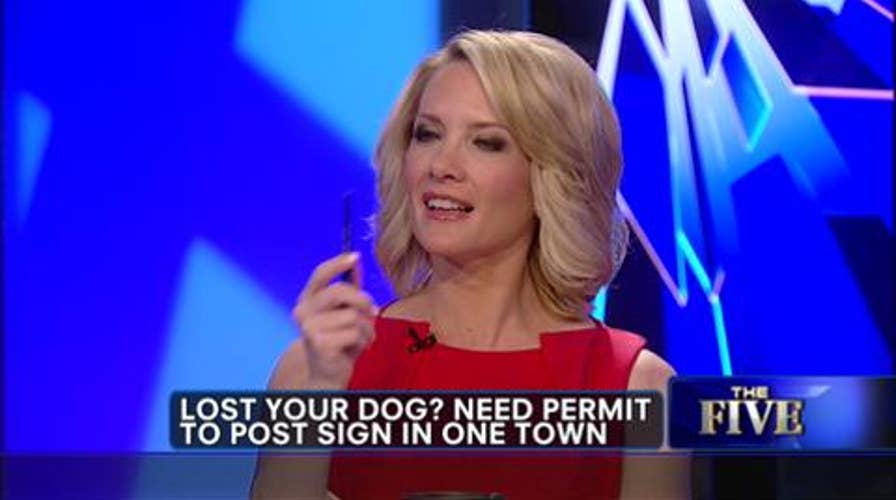 Ohio City Gov't Says Permits Needed to Put Up "Lost Dog" Signs