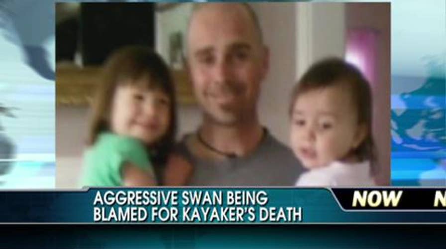 Swan Attack Blamed in Death of Anthony Hensley