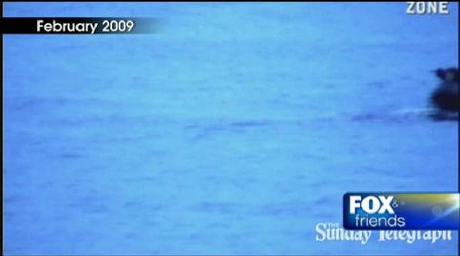 Shark Attack Survivor Paul de Gelder Shares His Story, Discusses New Book “No Time for Fear: How a Shark Attack Survivor Beats the Odds”