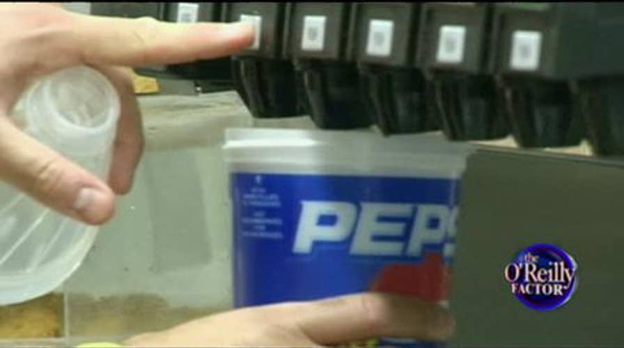 Who Are the Most Hated People in America?