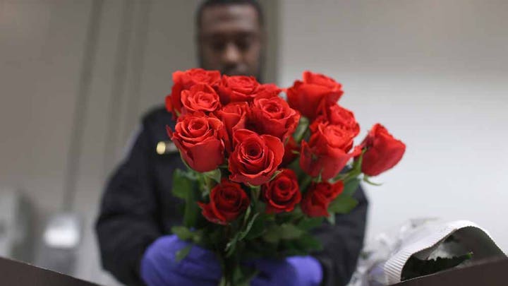 Customs and Border officials inspect Valentine's Day flower imports into U.S.