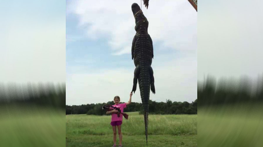 10-year-old girl bags 800-pound gator