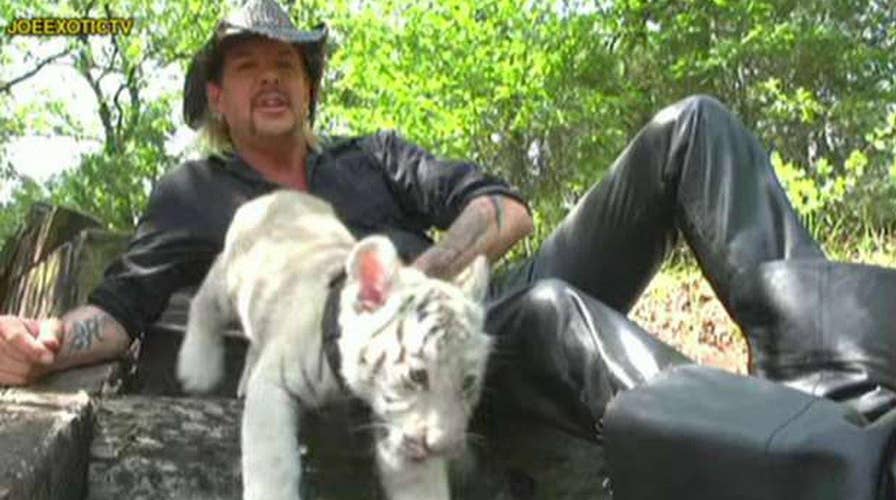 Exotic animal park owner announces run for president