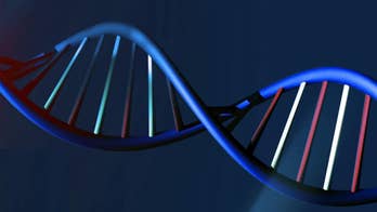 Harvard's secret meeting on synthetic human genome fuels debate
