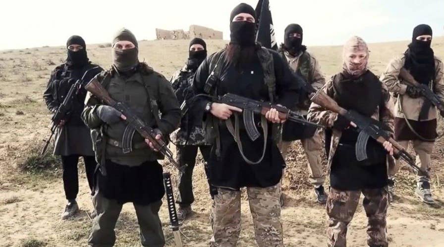 ISIS collaborators in the USA