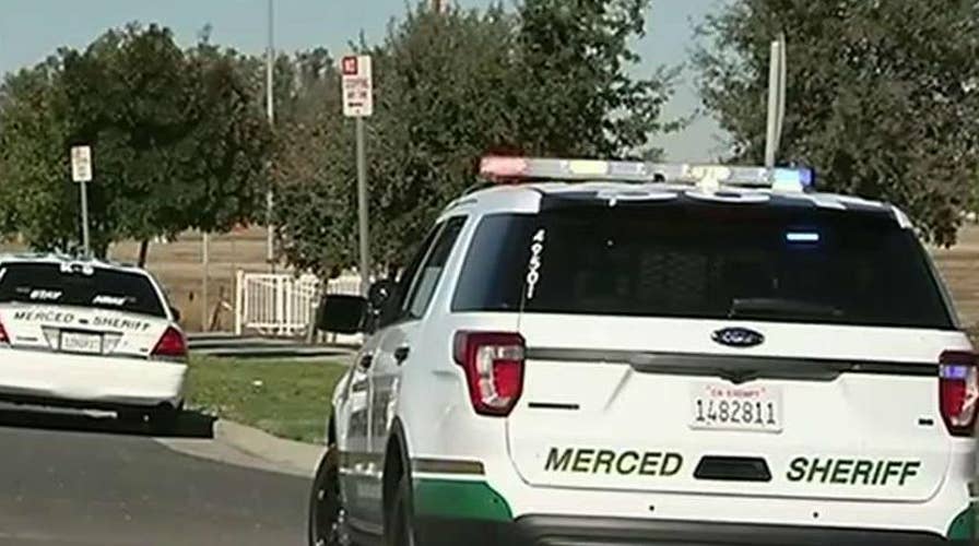 Is the government telling us the truth about terror?