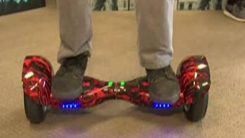 Hoverboard blamed for California house fire that killed dogs