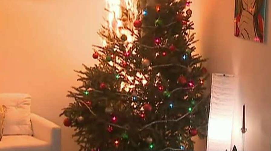 Christmas safety tips: Trees can become infernos in seconds