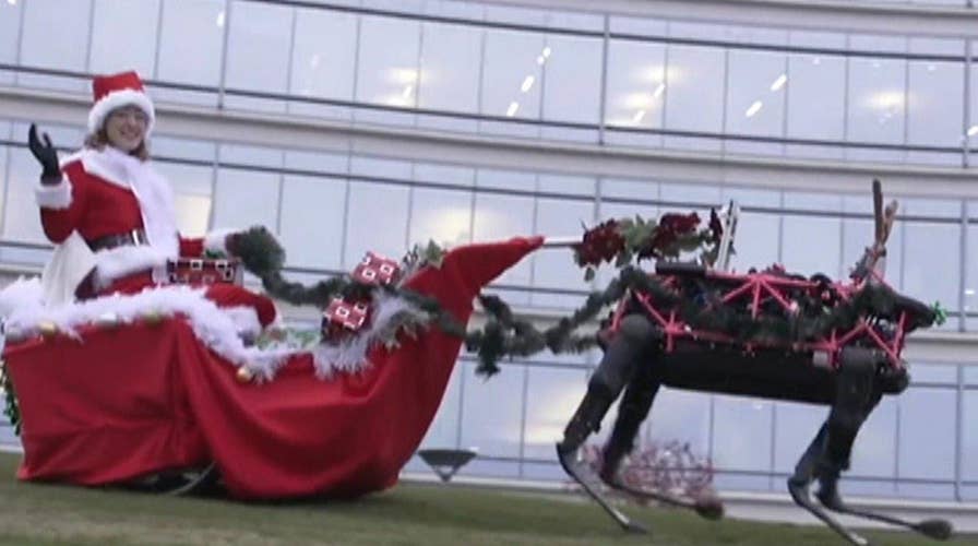Move over Rudolph? Robotic reindeer give sleigh a test run