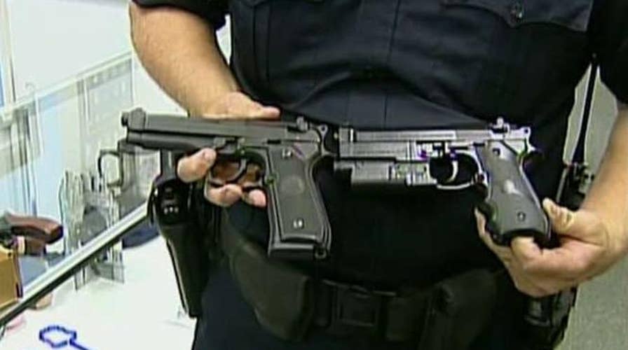 Minnesota Supreme Court to review if BB guns are firearms