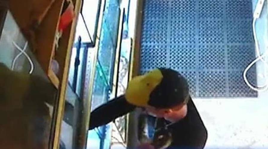 Man steals $200 snake from pet store, hides it in his pants
