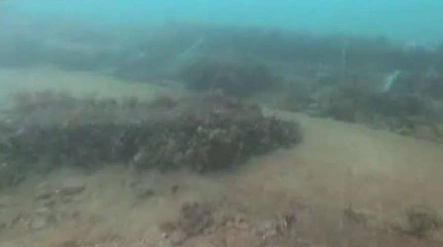 Remains of lost 1800s whaling fleet found off Alaskan coast