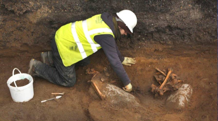 Skeleton under playground believed to be 16th century pirate