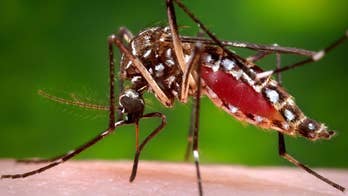 Sexually-transmitted Zika case confirmed in Miami-Dade County