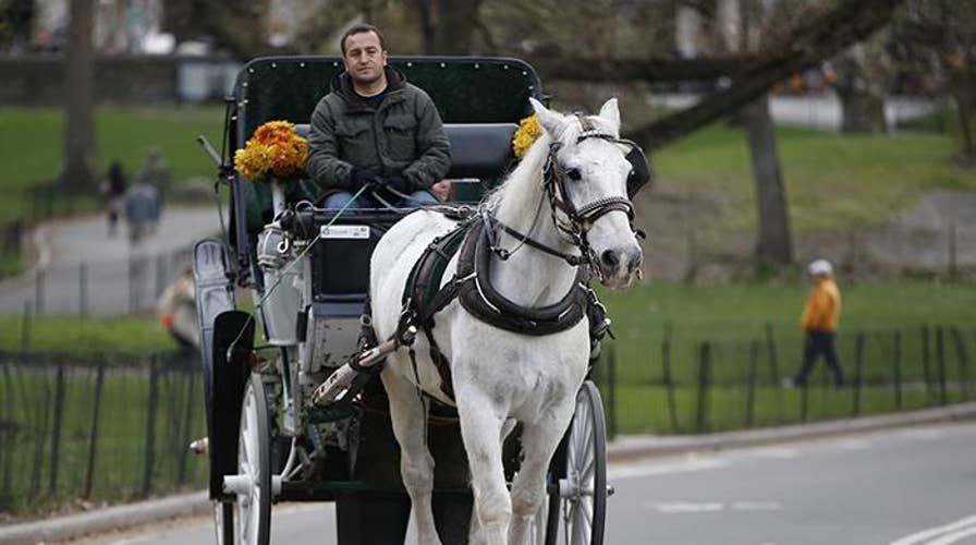 NYC strikes deal to cut number of horse-carriage drivers