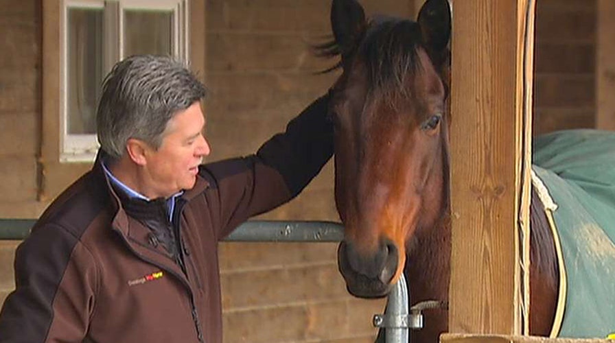 Saratoga Warhorse program helps veterans with PTSD