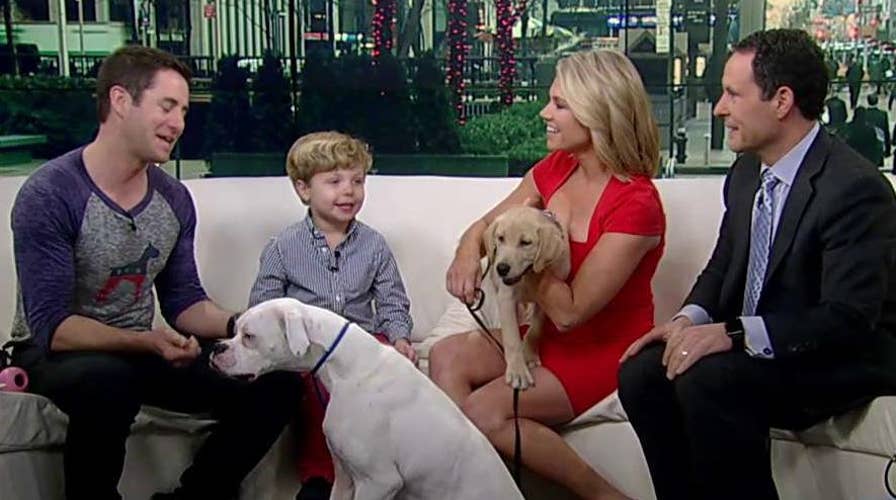 Training a new puppy in a house with young children