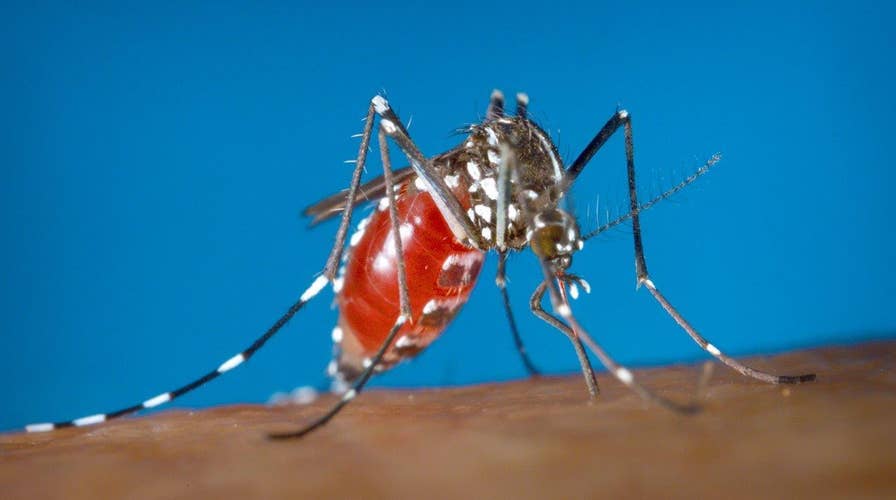 New concerns over Zika virus cases growing in the US