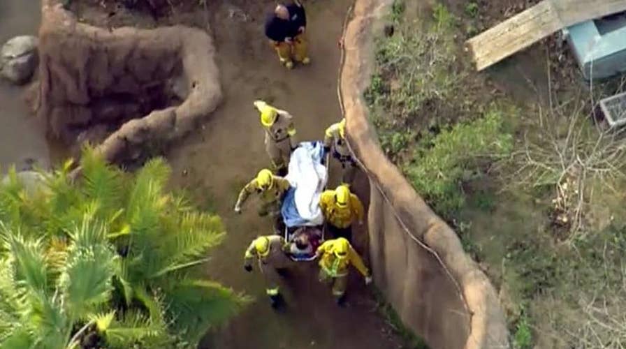 Firefighters rescue LA Zoo employee from gorilla enclosure