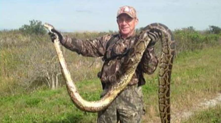 Watters' World: Python edition