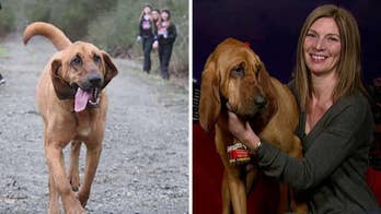 Owner of Alabama bloodhound that finished 7th in half marathon speaks out