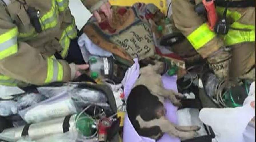 The Good, the Bad and the Ugly