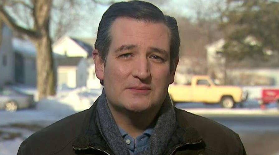 Ted Cruz reacts to being called an 'anchor baby in Canada'