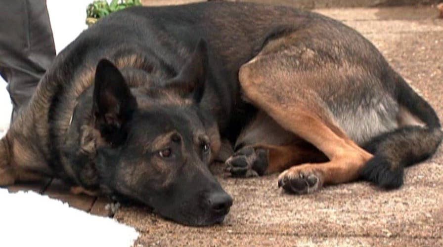 Retired cop's former K9 partner to be auctioned off