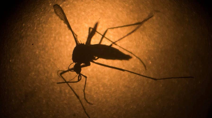 Health experts work to treat Zika fears with facts