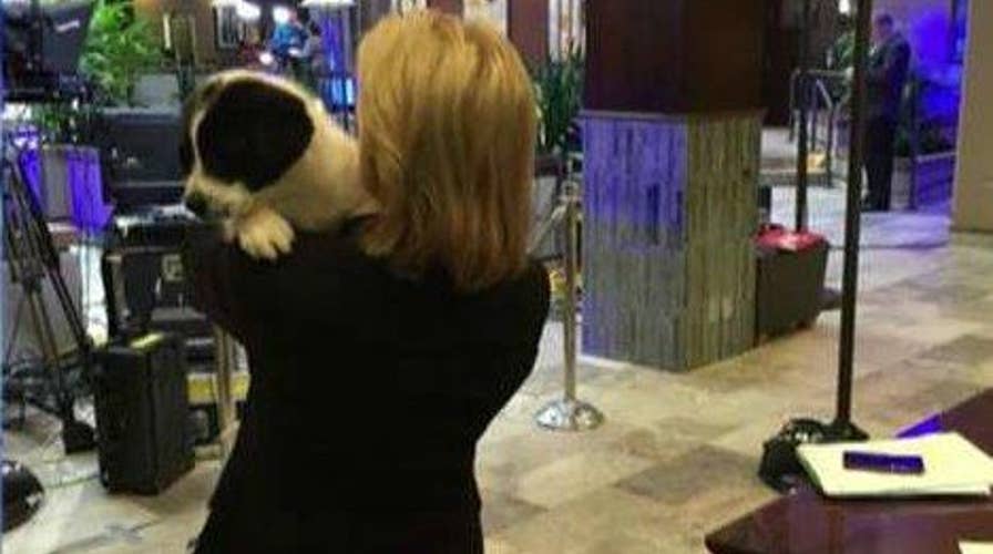 Greta: Thank you to 'The Five' for helping pups find homes