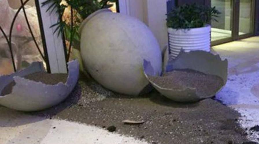 Passengers recall terror of cruise caught in violent storm