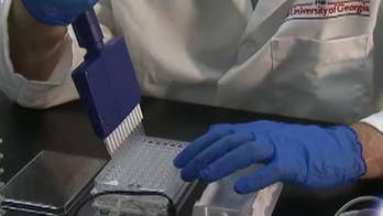 Scientists attack Zika virus from multiple angles