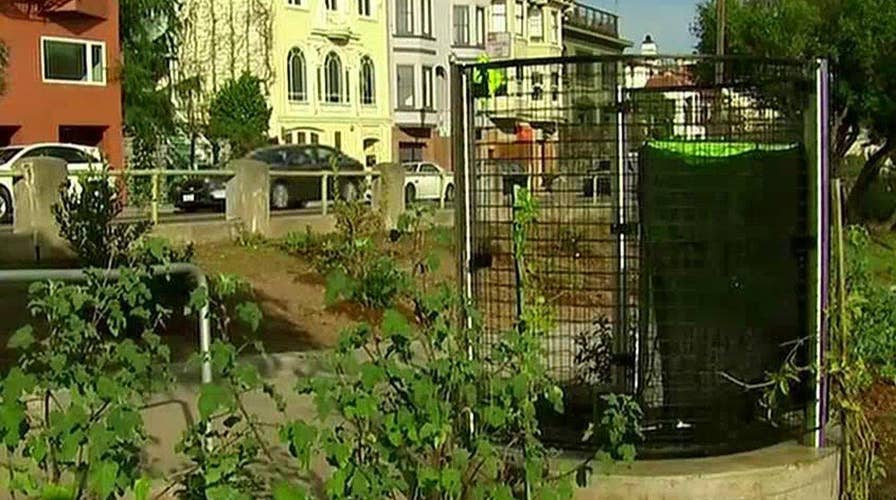 San Francisco park adds public urinal