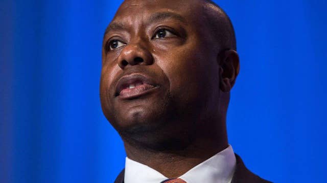 Sen. Tim Scott on campaigning with Rubio as SC primary nears